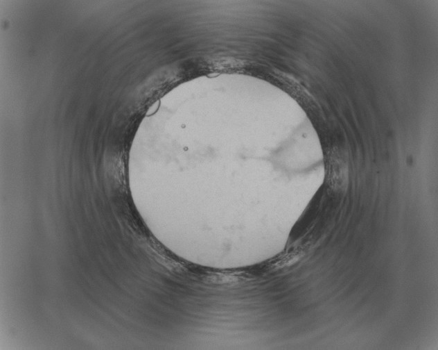 X0000062890523200602101744