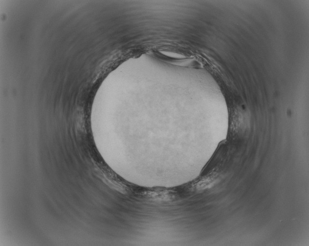 X0000062890524200602101744