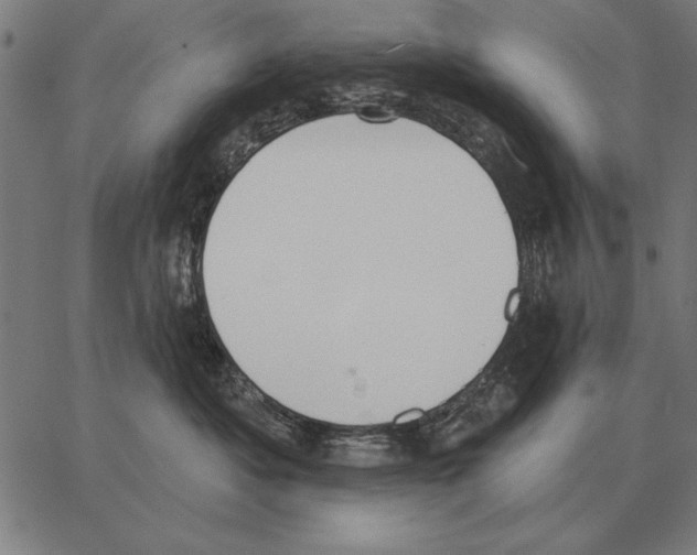 X0000062890525200602101744