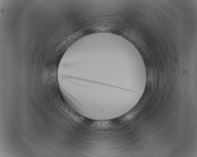 X0000062890526200602101744