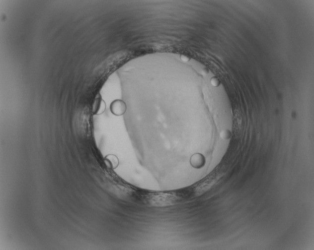 X0000062890527200602101744