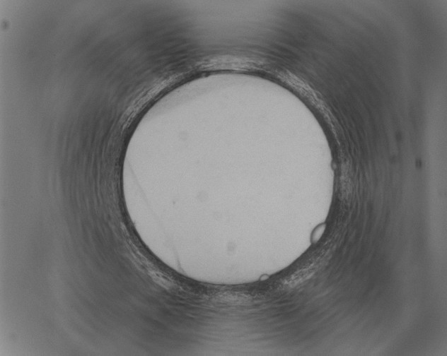 X0000062890529200602101743