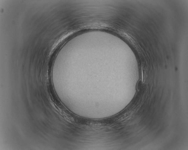 X0000062890531200602101743