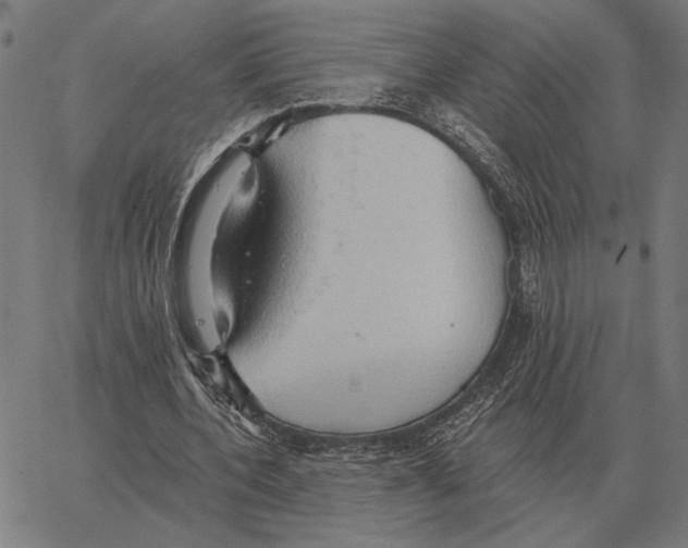 X0000062890532200602101743