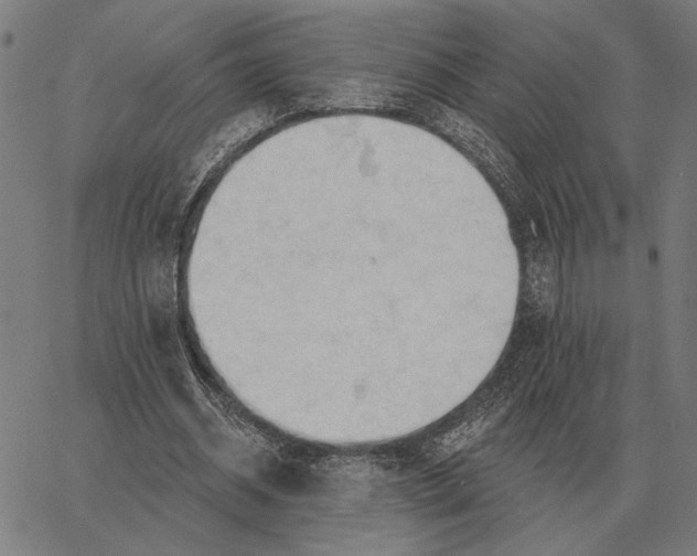 X0000062890534200602101743