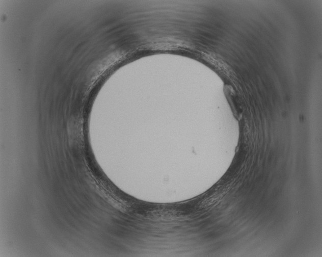 X0000062890535200602101744