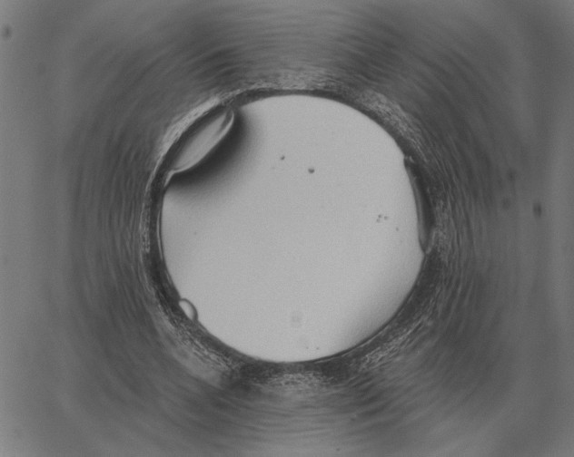 X0000062890536200602101744