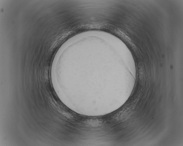 X0000062890537200602101744