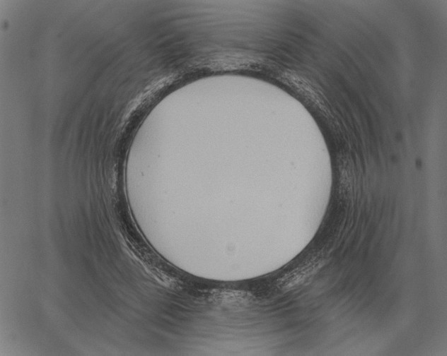 X0000062890539200602101744