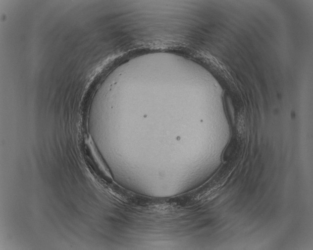 X0000062890540200602101744