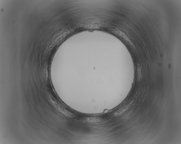 X0000062890541200602101744