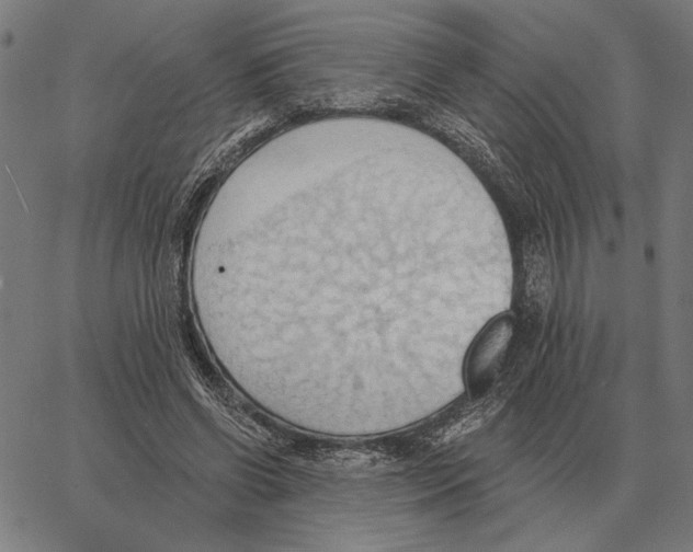 X0000062890542200602101744