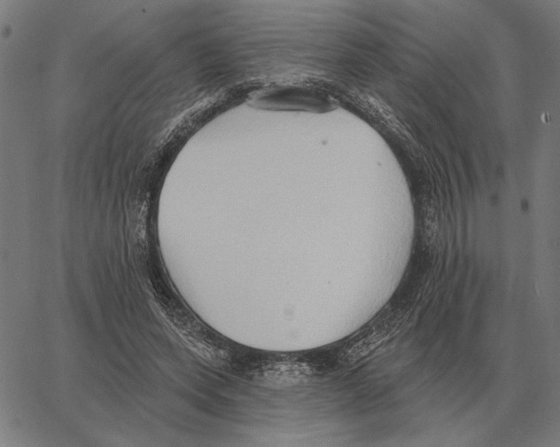 X0000062890543200602101744