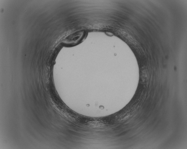 X0000062890544200602101744