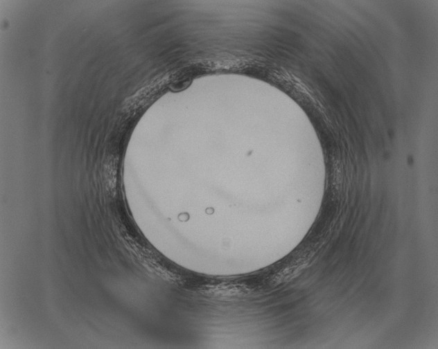 X0000062890545200602101744