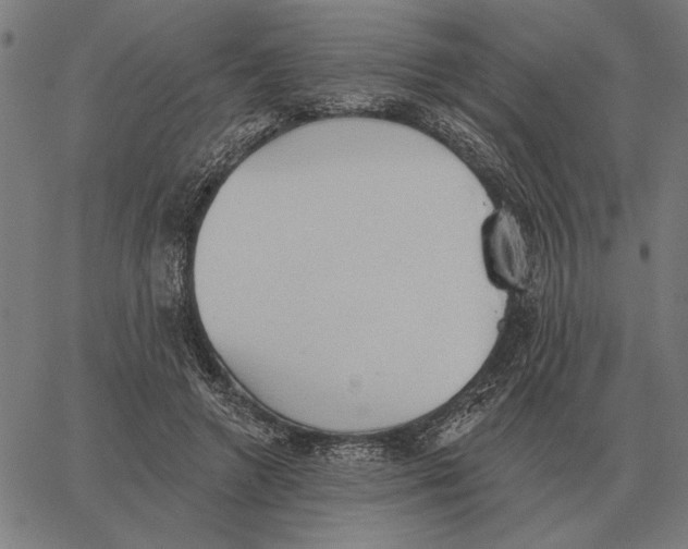 X0000062890546200602101744