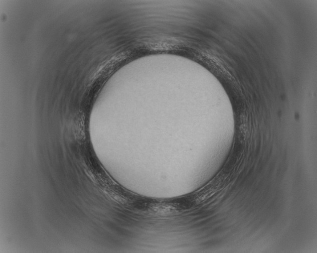 X0000062890547200602101744