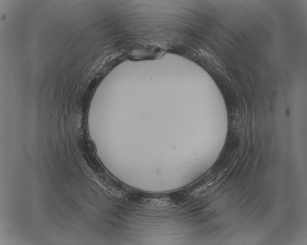 X0000062890548200602101744