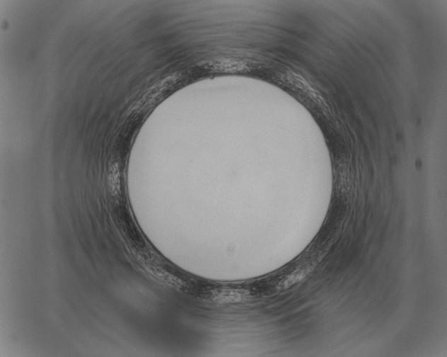 X0000062890549200602101744