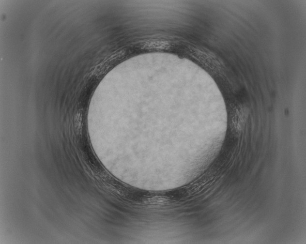 X0000062890551200602101744