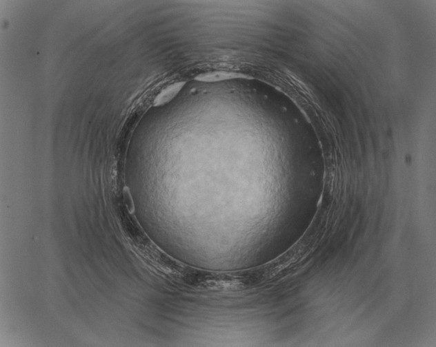 X0000062890552200602101744