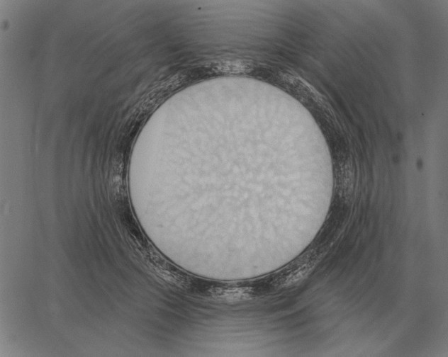 X0000062890553200602101744