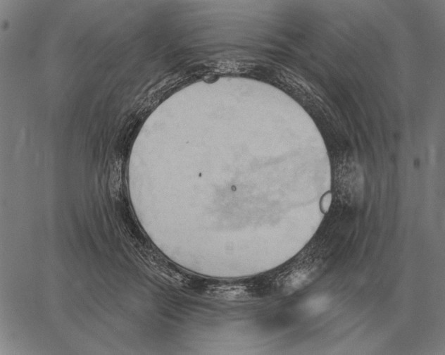 X0000062890554200602101744