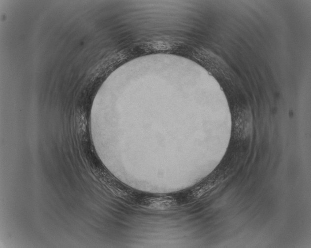 X0000062890555200602101744