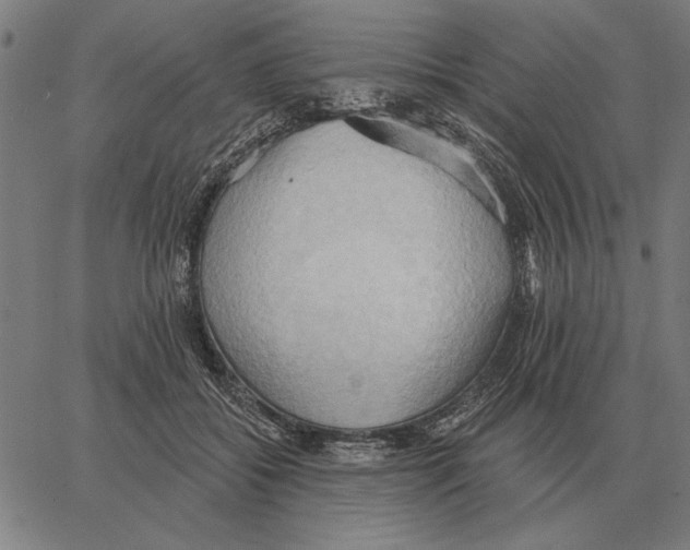 X0000062890556200602101744