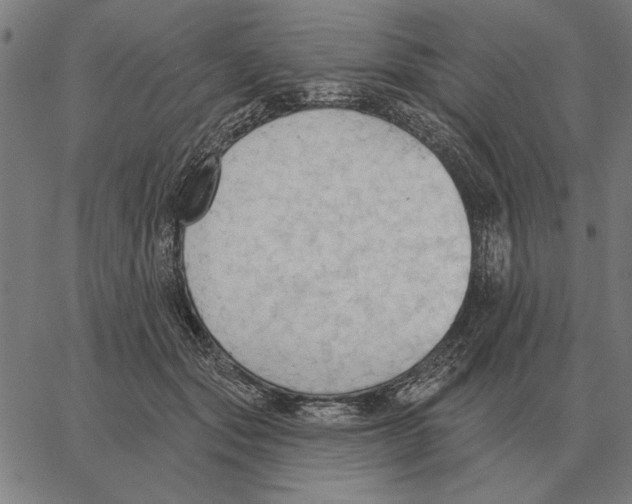 X0000062890557200602101744