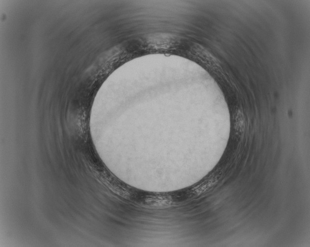 X0000062890559200602101744