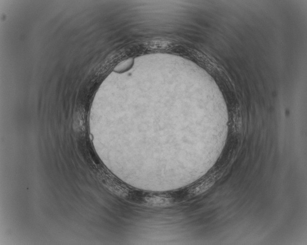 X0000062890561200602101744