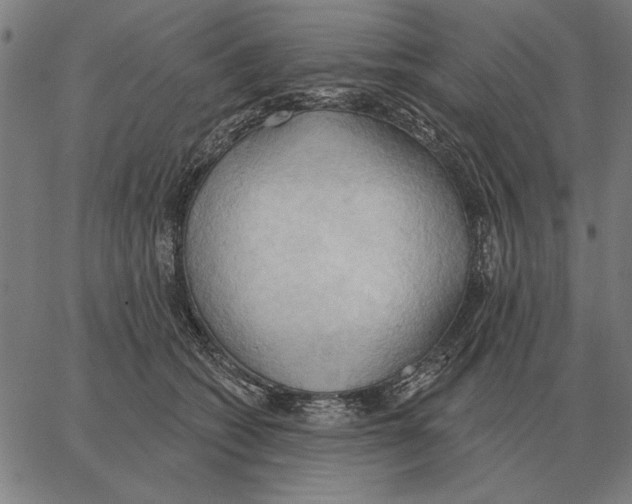 X0000062890562200602101744