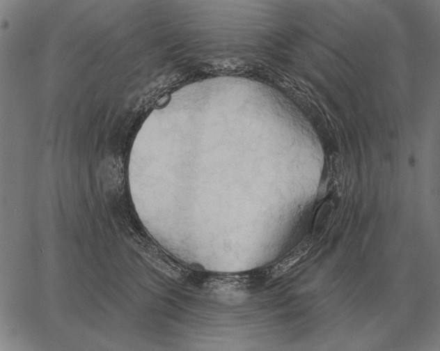 X0000062890563200602101744