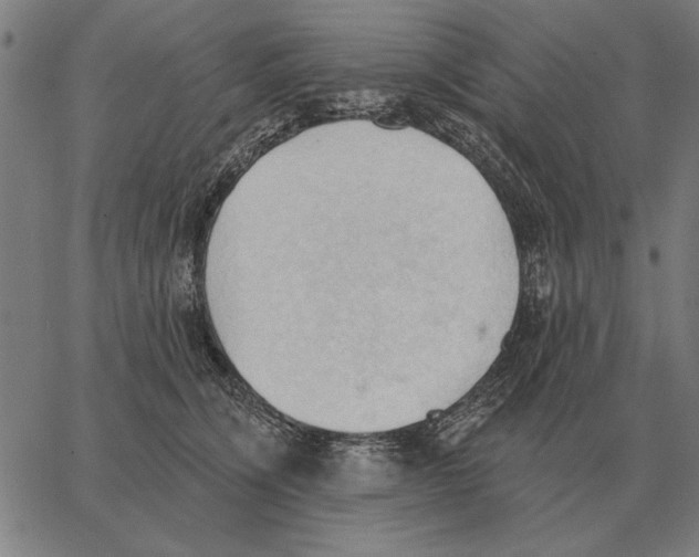 X0000062890564200602101744