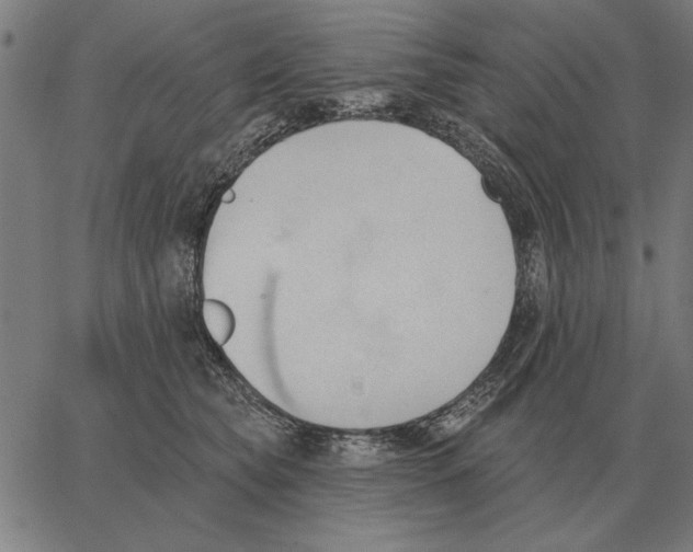 X0000062890565200602101744