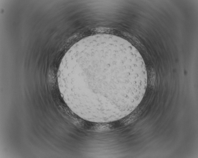 X0000062890569200602101744