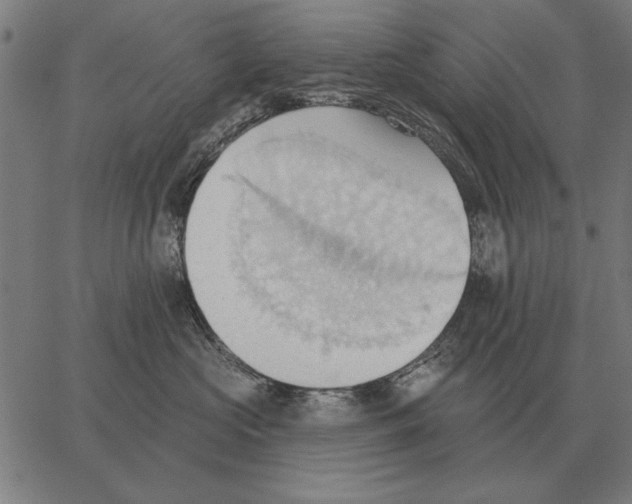 X0000062890573200602101744