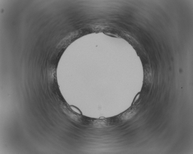 X0000062890574200602101744