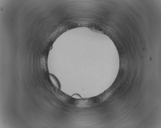 X0000062890575200602101744