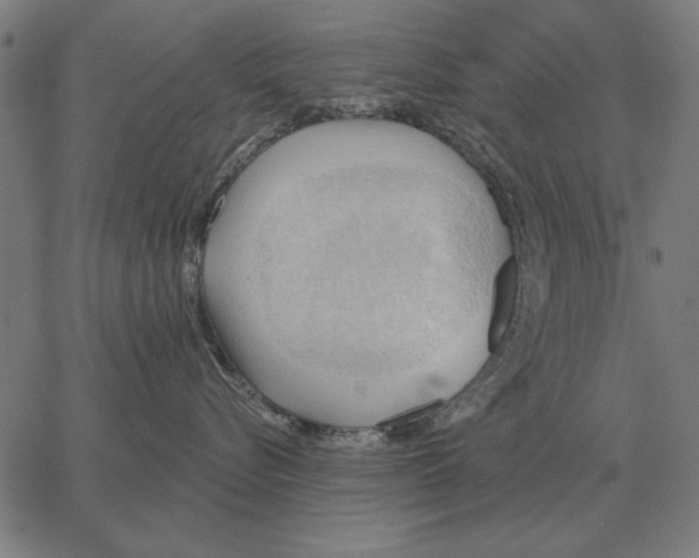 X0000062890576200602101744