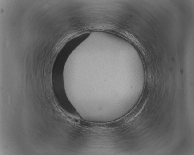 X0000062890577200602101743