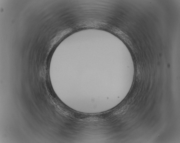 X0000062890578200602101743