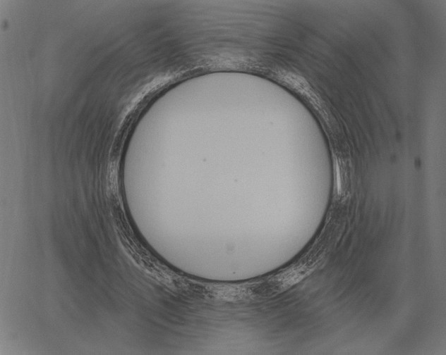 X0000062890579200602101743