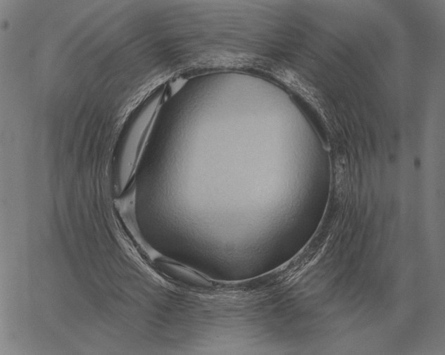 X0000062890581200602101743