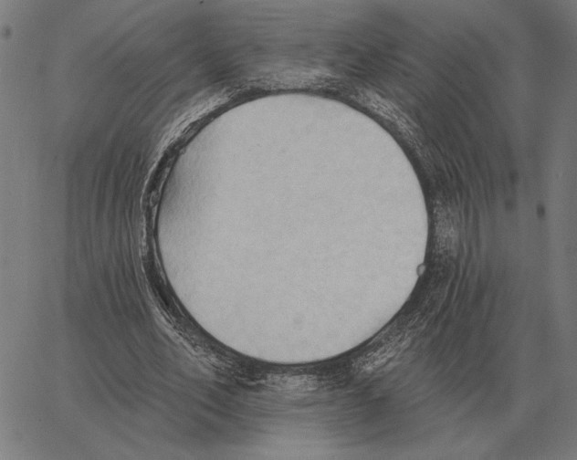 X0000062890582200602101743