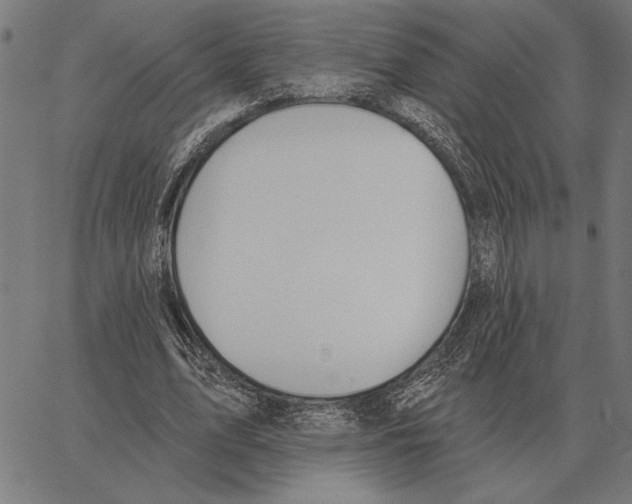 X0000062890583200602101743