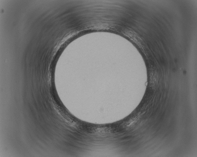 X0000062890584200602101743