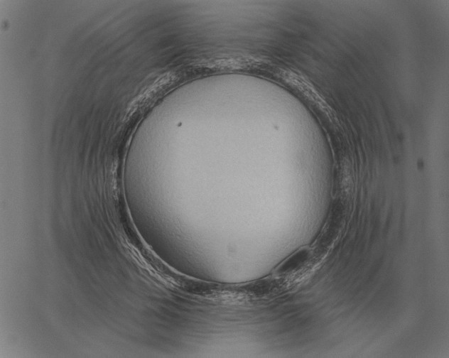 X0000062890585200602101743