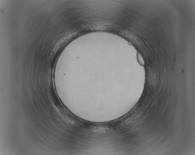 X0000062890586200602101743